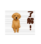 踊る！わんこMAX/犬/いぬ/ドッグ/イヌ（個別スタンプ：6）