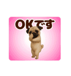 踊る！わんこMAX/犬/いぬ/ドッグ/イヌ（個別スタンプ：8）