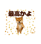 踊る！わんこMAX/犬/いぬ/ドッグ/イヌ（個別スタンプ：10）