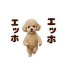 踊る！わんこMAX/犬/いぬ/ドッグ/イヌ（個別スタンプ：12）