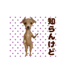 踊る！わんこMAX/犬/いぬ/ドッグ/イヌ（個別スタンプ：13）