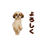踊る！わんこMAX/犬/いぬ/ドッグ/イヌ（個別スタンプ：15）