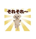 踊る！わんこMAX/犬/いぬ/ドッグ/イヌ（個別スタンプ：16）