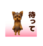 踊る！わんこMAX/犬/いぬ/ドッグ/イヌ（個別スタンプ：17）