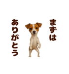 踊る！わんこMAX/犬/いぬ/ドッグ/イヌ（個別スタンプ：18）