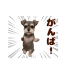 踊る！わんこMAX/犬/いぬ/ドッグ/イヌ（個別スタンプ：20）