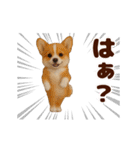 踊る！わんこMAX/犬/いぬ/ドッグ/イヌ（個別スタンプ：21）