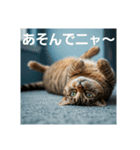 ある日の、とらねこたち（個別スタンプ：3）