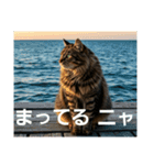 ある日の、とらねこたち（個別スタンプ：5）