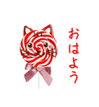 ペロペロキャンデーの猫、ペロっと一言（個別スタンプ：6）