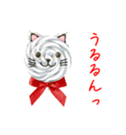 ペロペロキャンデーの猫、ペロっと一言（個別スタンプ：11）