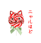 ペロペロキャンデーの猫、ペロっと一言（個別スタンプ：18）