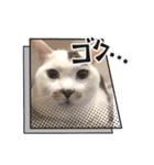 ハートにゃんのティグ（個別スタンプ：3）