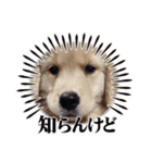 Eru.Elu.どっちもエル（個別スタンプ：1）