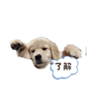 Eru.Elu.どっちもエル（個別スタンプ：3）