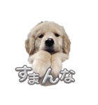 Eru.Elu.どっちもエル（個別スタンプ：4）