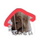 Eru.Elu.どっちもエル（個別スタンプ：9）