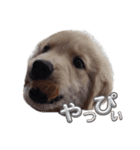 Eru.Elu.どっちもエル（個別スタンプ：10）