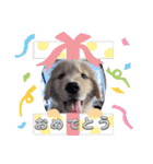 Eru.Elu.どっちもエル（個別スタンプ：13）