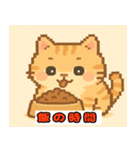 おもちふわねこ（個別スタンプ：3）