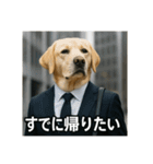 働く犬のぼやきスタンプ（個別スタンプ：11）