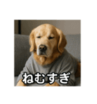 働く犬のぼやきスタンプ（個別スタンプ：12）