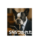 働く犬のぼやきスタンプ（個別スタンプ：13）