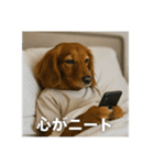働く犬のぼやきスタンプ（個別スタンプ：14）