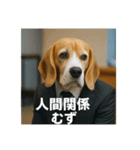 働く犬のぼやきスタンプ（個別スタンプ：16）