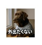 働く犬のぼやきスタンプ（個別スタンプ：17）