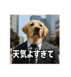 働く犬のぼやきスタンプ（個別スタンプ：18）