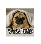 働く犬のぼやきスタンプ（個別スタンプ：20）