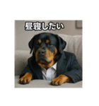 働く犬のぼやきスタンプ（個別スタンプ：25）