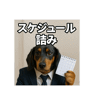 働く犬のぼやきスタンプ（個別スタンプ：33）