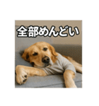 働く犬のぼやきスタンプ（個別スタンプ：35）