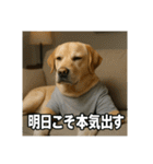働く犬のぼやきスタンプ（個別スタンプ：37）