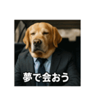 働く犬のぼやきスタンプ（個別スタンプ：39）