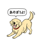 ゴールデンレトリバー(クリーム)（個別スタンプ：2）
