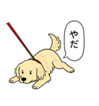 ゴールデンレトリバー(クリーム)（個別スタンプ：8）