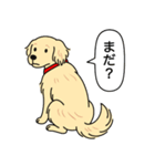 ゴールデンレトリバー(クリーム)（個別スタンプ：12）