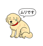 ゴールデンレトリバー(クリーム)（個別スタンプ：14）