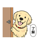 ゴールデンレトリバー(クリーム)（個別スタンプ：19）