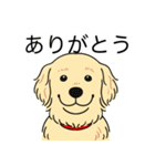 ゴールデンレトリバー(クリーム)（個別スタンプ：21）
