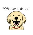 ゴールデンレトリバー(クリーム)（個別スタンプ：22）