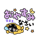 No.12愛しのチワピンびーちゃん朝晩ご挨拶（個別スタンプ：39）