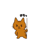 茶色猫日本語バージョン（個別スタンプ：8）