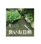 和のごあいさつ（個別スタンプ：1）