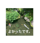 和のごあいさつ（個別スタンプ：3）