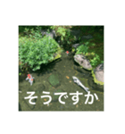 和のごあいさつ（個別スタンプ：10）