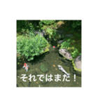 和のごあいさつ（個別スタンプ：11）